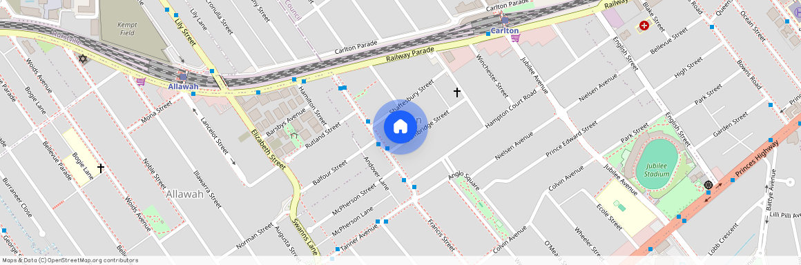 25 Bembridge Street, NSW 2218, Carlton