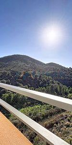 Location Appartement 1 pièce 30m² SARROLA CARCOPINO 20167 - Photo 4