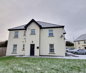 97 Cambric Court, Dromore, BT25 1TH - Photo 4