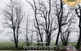 EXKLUZÍVNE NA PRENÁJOM – PRIESTRANNÝ 1-IZBOVÝ BYT 60 m², LEOPOLDOV - Fotografia 1