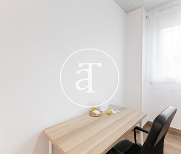 Monthly rental Studio with 1 bedroom, 1 bathroom in Latina - Photo 1