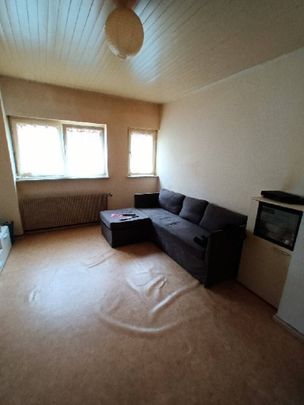 Location appartement 1 pièce 30.64 m² à Ottmarsheim (68490) - Photo 1