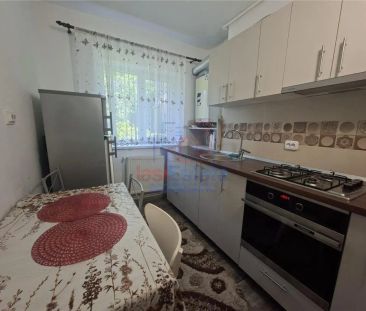 Apartament cu 2 camere de inchiriat in Copou - Photo 4