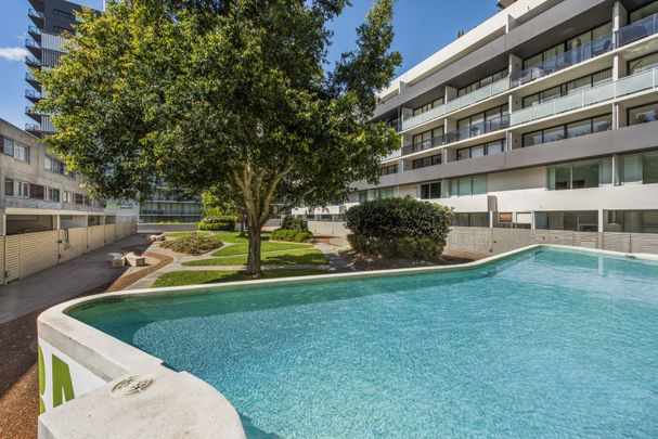 Unit 31/2 Hutchinson Walk, Zetland NSW 2017 - Apartment For Rent | Domain - Photo 1