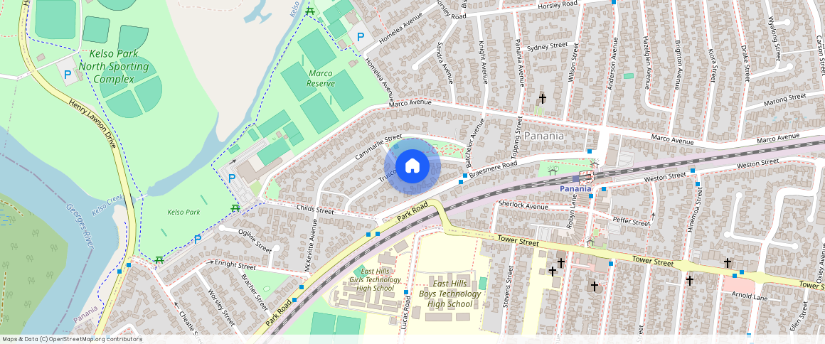 15 Truscott Street Panania