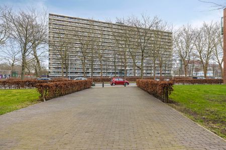 De Weer, 183, Zaandam - Photo 3