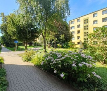 2-pokojowe mieszkanie na wynajem, Pomorzany. - Zdjęcie 5