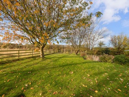 3 bedroom house to rent - Photo 5