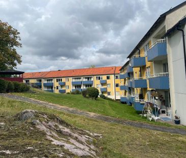 Svedjevägen, Överum - Photo 1