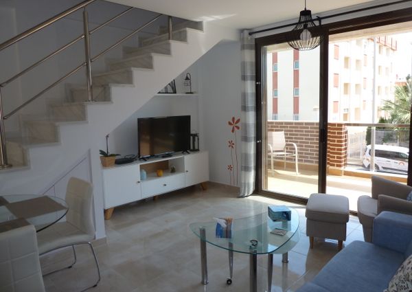 15 Sinergia World II – Id. 428