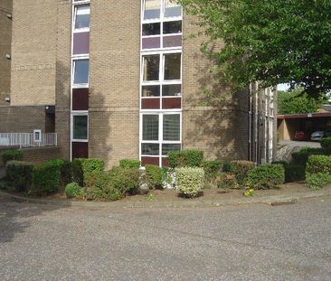 1 bedroom flat to rent - Photo 6