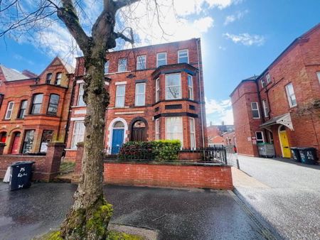 Apartment 2 73 Eglantine Avenue, Belfast, BT9 6EW - Photo 5