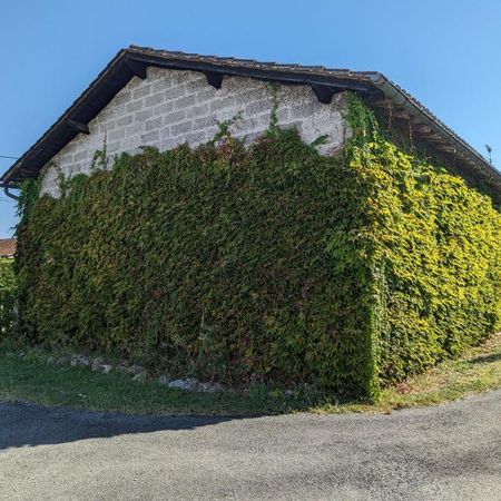 Location Appartement 1 pièce 100m² BERGERAC 24100 - Photo 3