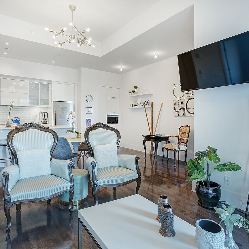365 Rue St André, Montréal (Ville-Marie), QC H2L - Photo 1