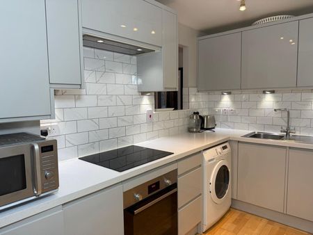 Room in a Shared Flat, Douglas Street, SW1P - Photo 4