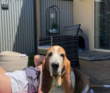 North Plympton - Photo 1