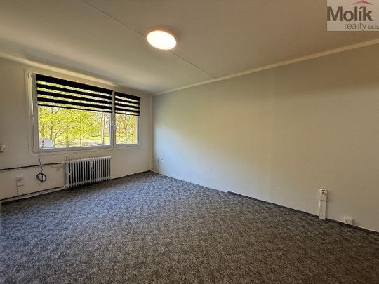 Pronájem bytu 2+kk 40 m² - Photo 1