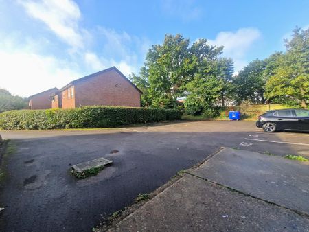 Studio to rent - Photo 5
