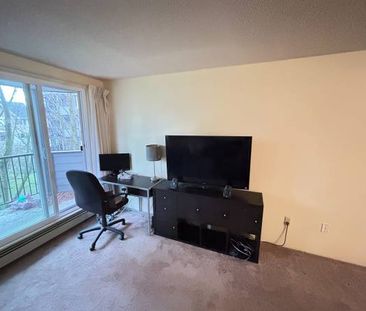 Furnished Large 1 bedroom Condo for rent! Utilities included! - Photo 2