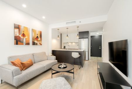 Appartement à louer à Montréal (Ville-Marie) - Photo 4