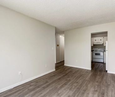 2 Bedroom - Photo 3