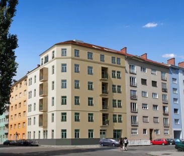 2 Zimmer - 31m2 - Lend - Photo 5