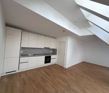 NEUBAU 1230 Wien, Dachgeschoß mit Terrasse + Dachgarten, Stipcakgasse 3 - Top 6 - Photo 1