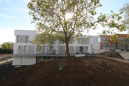 Location Appartement 1 pièce 34m² ST HERBLAIN 44800 - Photo 3