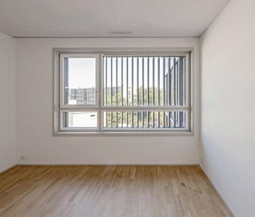 über den Dächern von Zürich - Foto 6