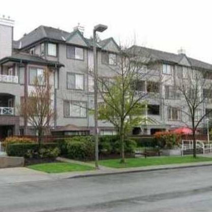 Bright, centrally located one bed/bath apartment in Coquitlam - Photo 4