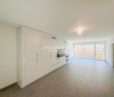 Habitez à Saxon, au cœur des Alpes, à deux pas de la gare CFF - Photo 1