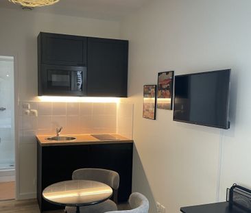 Location Appartement 1 pièce 15m² RENNES 35000 - Photo 4