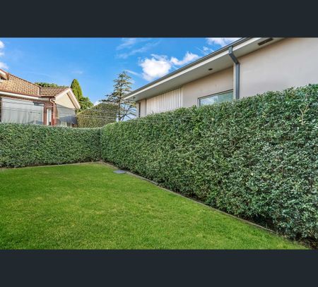 2/8 Waratah Street, Roseville, NSW 2069 - Photo 4