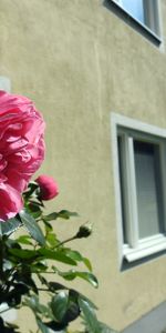 Pionjärgatan 8 - Photo 3