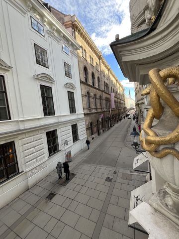 Traumhafter und hochwertig ausgestatteter 4-Zimmer-Altbau direkt an der Herrengasse, unbefristet zu mieten in 1010 Wien - Photo 3