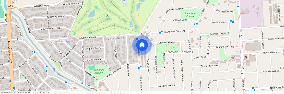 78 Pine Avenue, 5040, Novar Gardens