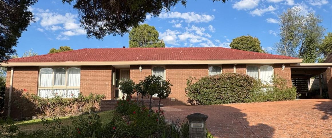 Peaceful Court Living with Exceptional Outdoor Space - Photo 1