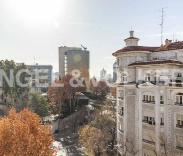 Madrid - Photo 6