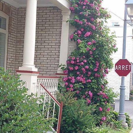 LÉVIS. RARE SUR LE MARCHÉ. 7 1/2 (3 ch.). 1er juillet (possibilité 1er août). Chauffé, éclairé, climatisé, déneigé (la totale, sauf Internet) - Photo 4