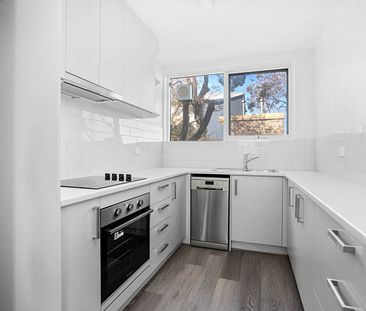 RENOVATED | LIGHT FILLED | IDEALLY LOCATED - Photo 1