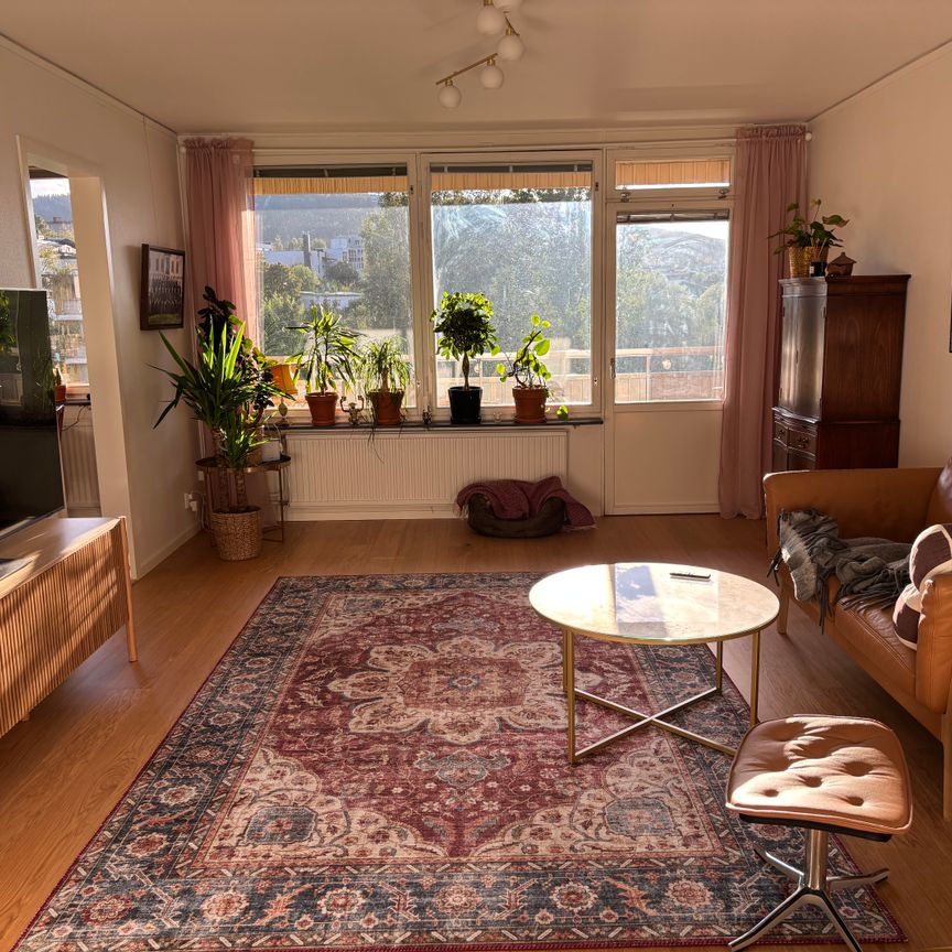 Djupövägen, Sollefteå - Photo 1