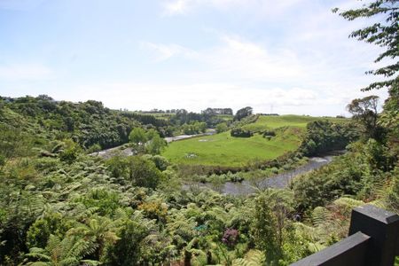 465 Mangorei Road,Highlands Park - Photo 4