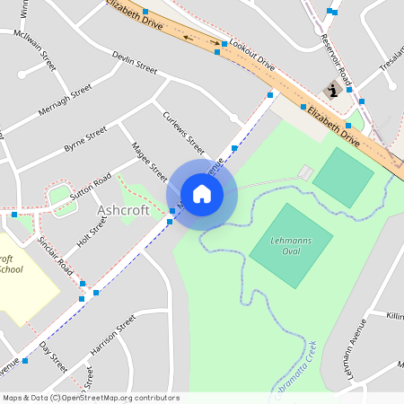 40 Maxwells Avenue, NSW 2168, Ashcroft