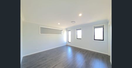 The One That You Want! - Photo 3