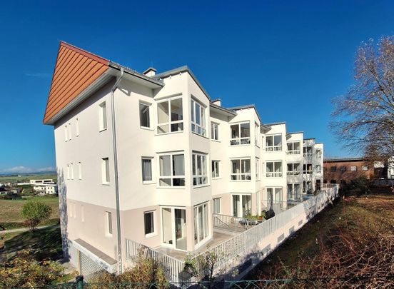 Eck-Terrassenwohnung mit Wintergarten - Photo 1