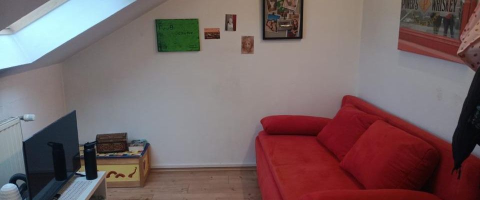 Stilvolles, helles 1-Zimmer Apartment 30qm zentrums- und uninah - Foto 1