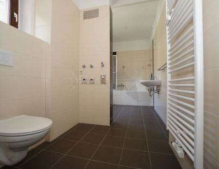 Zauberhafte Altbauwohnung mit hohen Decken und TOP saniertem Badezimmer in Zwickau - Foto 1