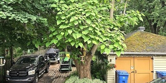 5 1/2 (vrai) Vieux-Longueuil - Photo 3