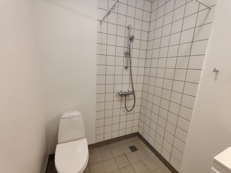 Kæledyr tilladt efter aftale - Photo 4