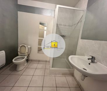 Location Appartement 3 pièces 58m² GRENAY 38540 - Photo 2